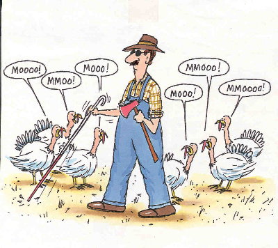 Image of cleverturkey.jpg