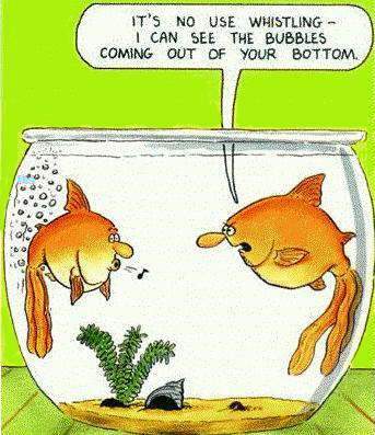 Image of fishfart.jpg