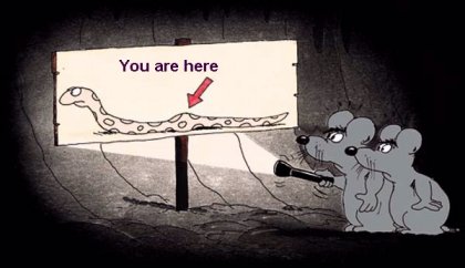 Image of mouse.jpg